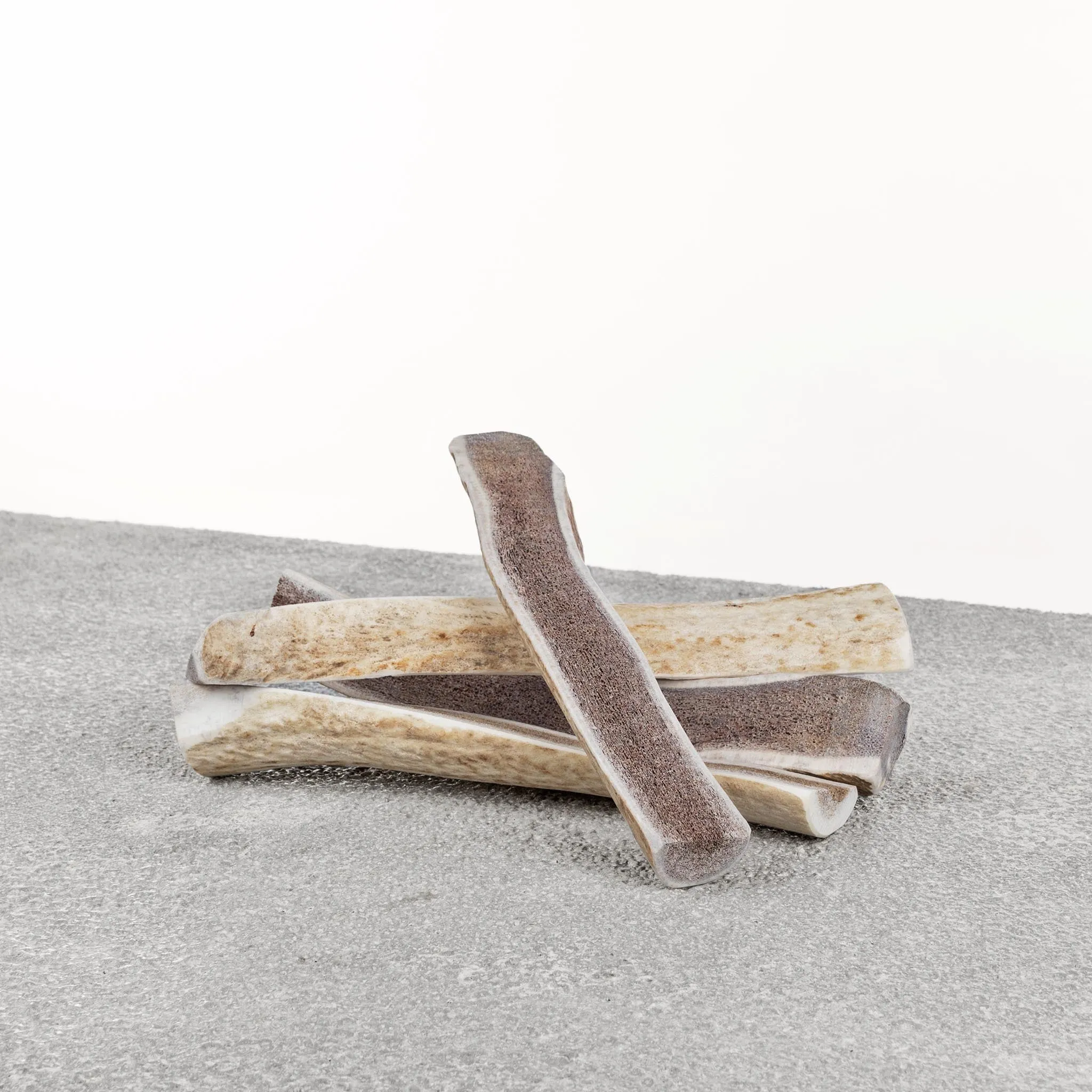 Antlers for Dogs <br> Elk Antler