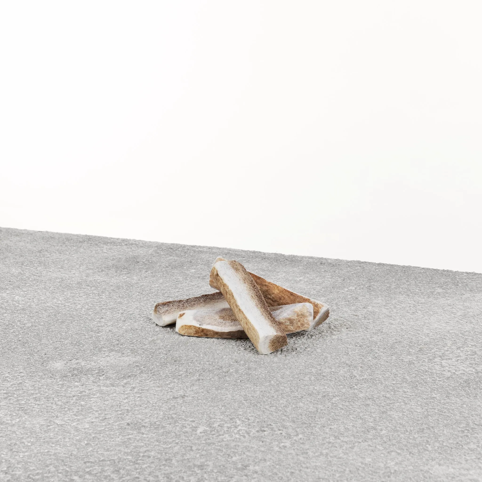Antlers for Dogs <br> Elk Antler