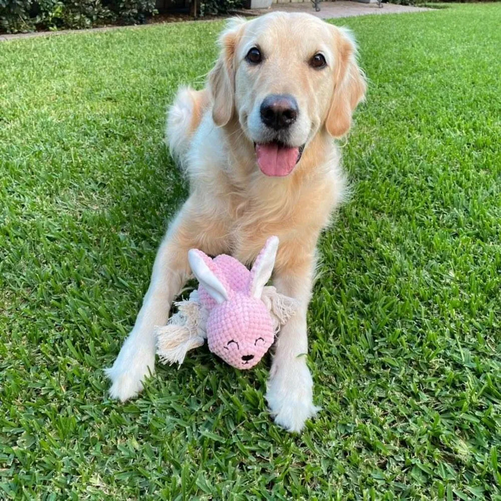 Bella Bunny Rope Squeaker Toy