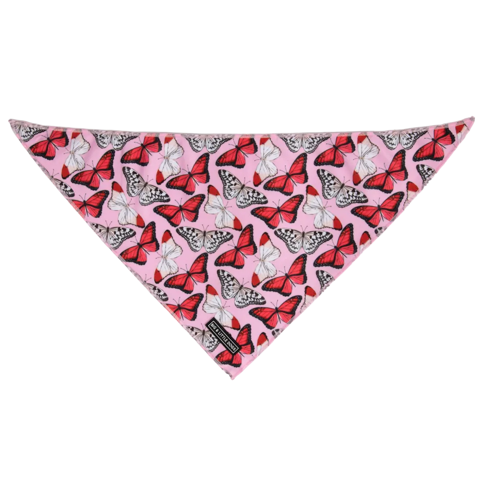 Big & Little Dogs Pretty Lil Butterfly Bandana