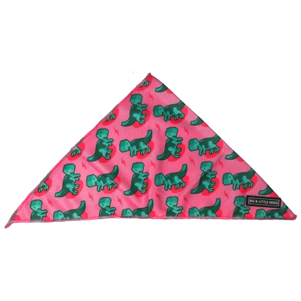 Big & Little Dogs Princess-asaurus Bandana