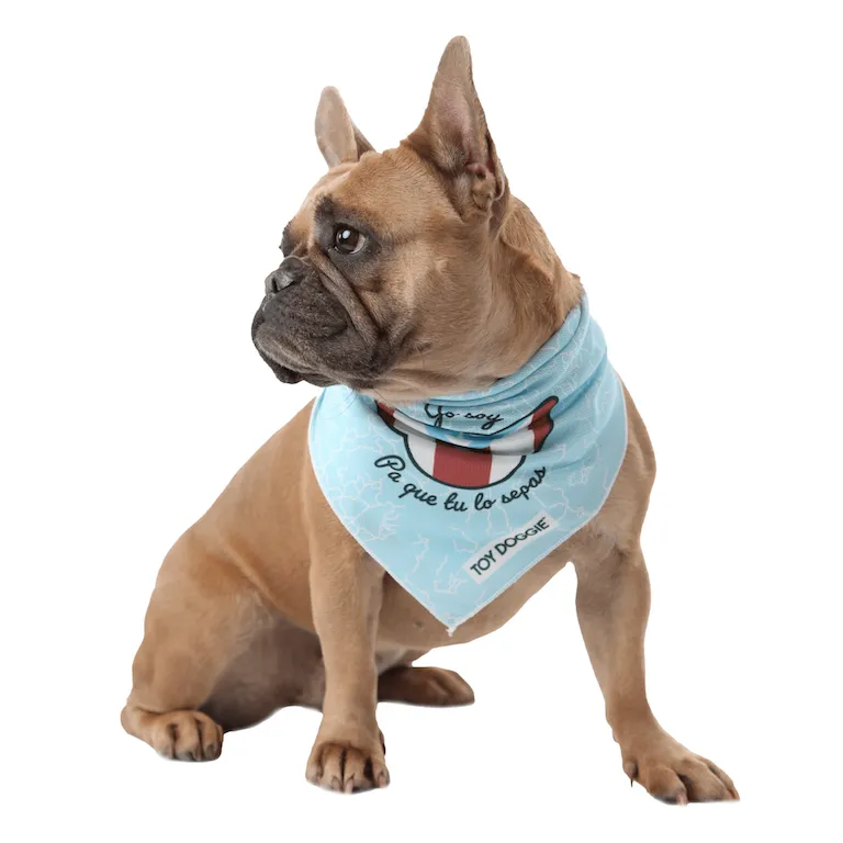 Bori Cooling Dog Bandana