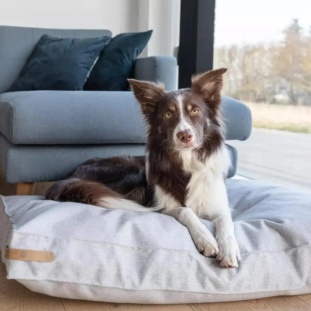Bowl and Bone Loft Dog Cushion Bed Pale Grey