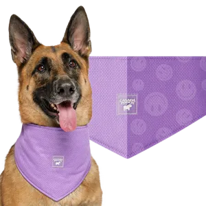 Canada Pooch Cooling Bandana WetRveal Smiley Purple