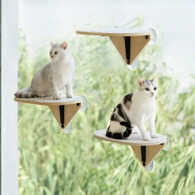 Cat Window Climbing Frame - Shelves With Scratching Post