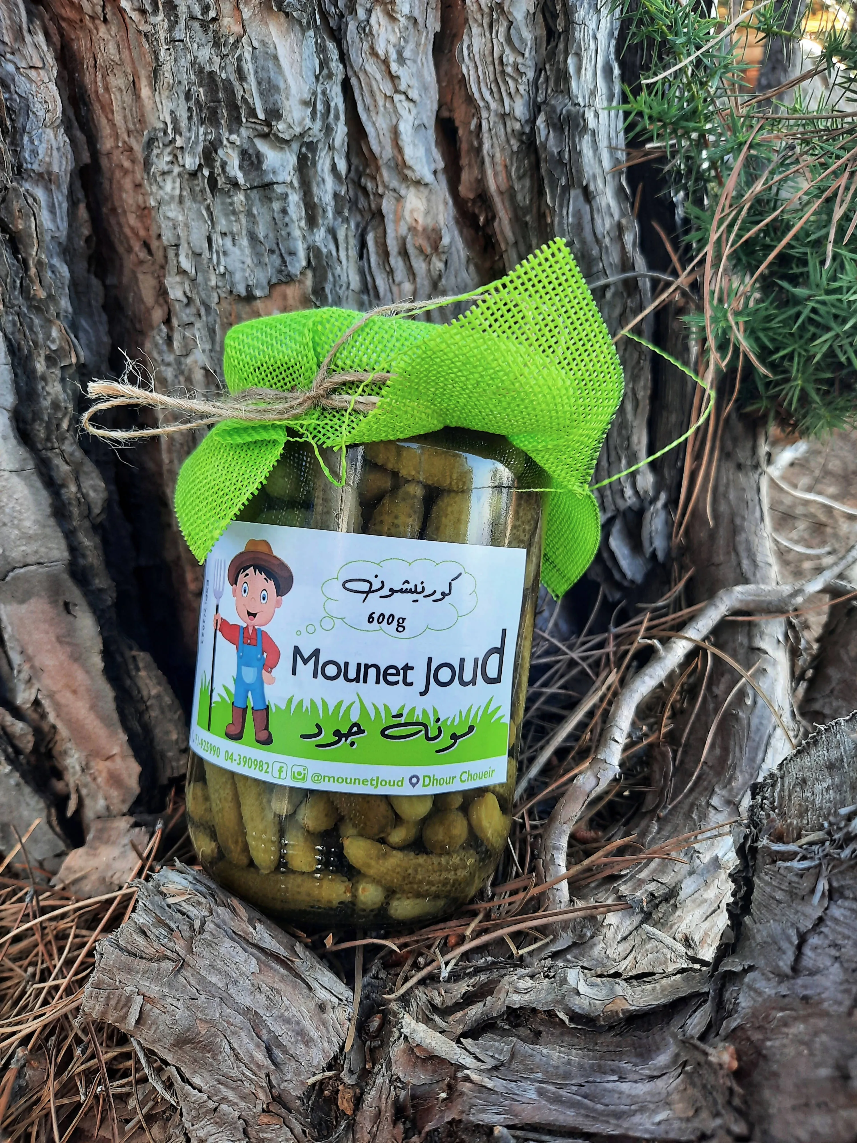 CUCUMBERS CORNICHE PICKLES-???? ???????