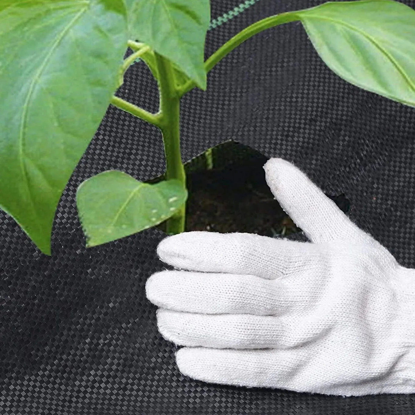 Foldable Weed Control Fabric