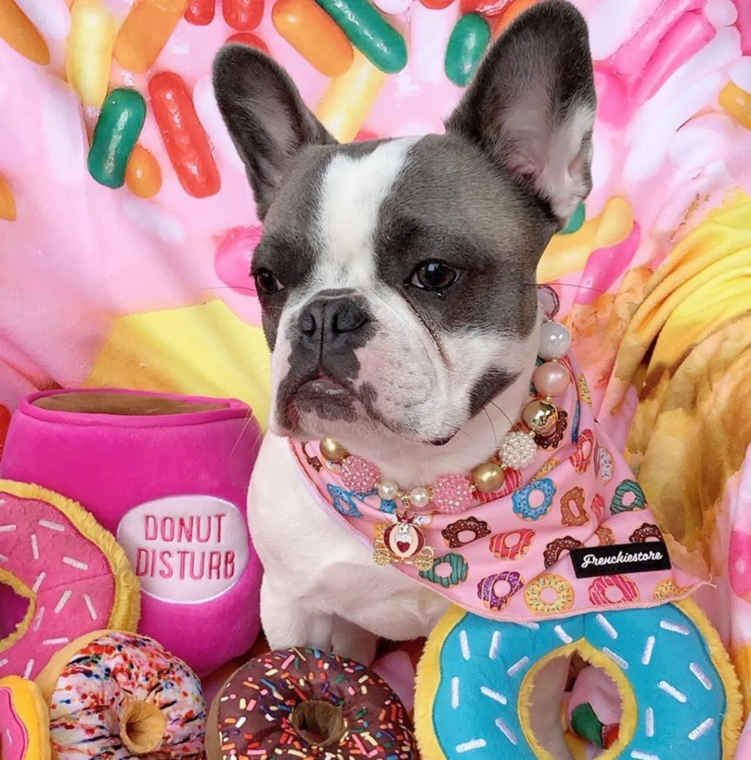 Frenchiestore Dog Cooling Bandana| Pink StarPup