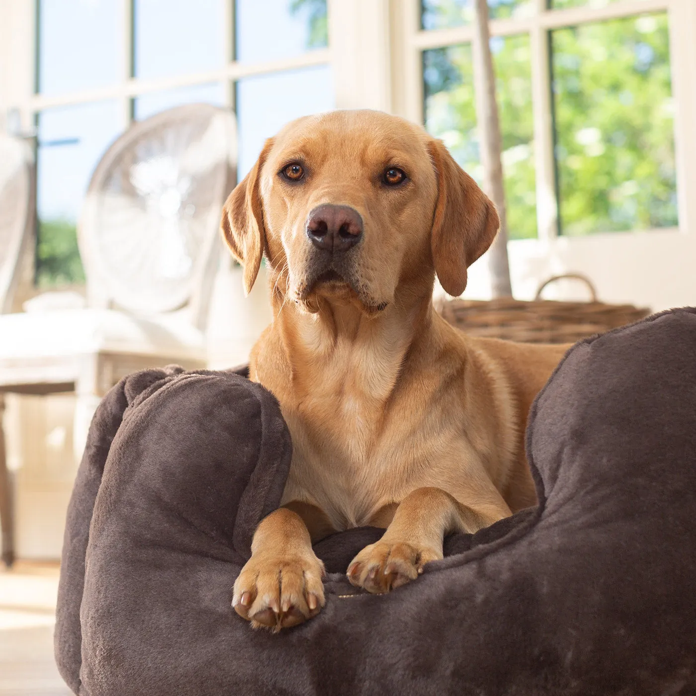 High Wall Bed With Removable Covers in Calming Anti-Anxiety Dusk Faux Fur by Lords & Labradors