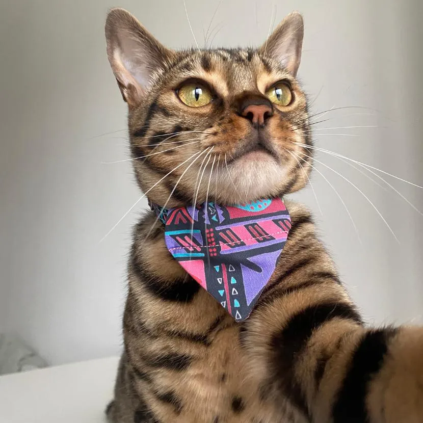Mud Cloth Cat Bandana