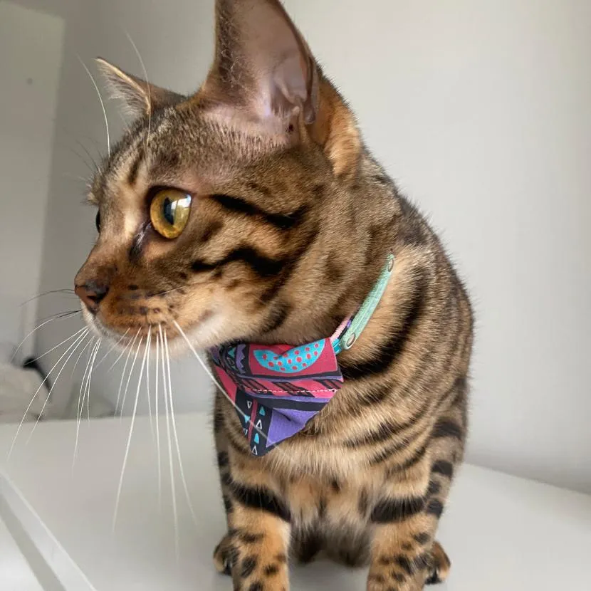 Mud Cloth Cat Bandana