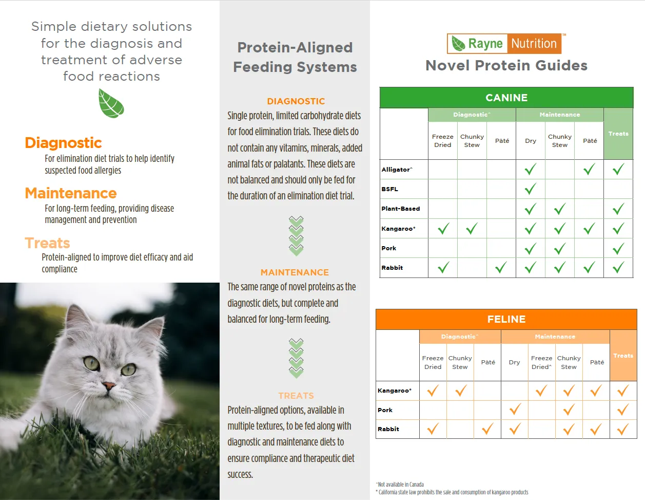 Novel Protein Therapeutic Diets Brochure