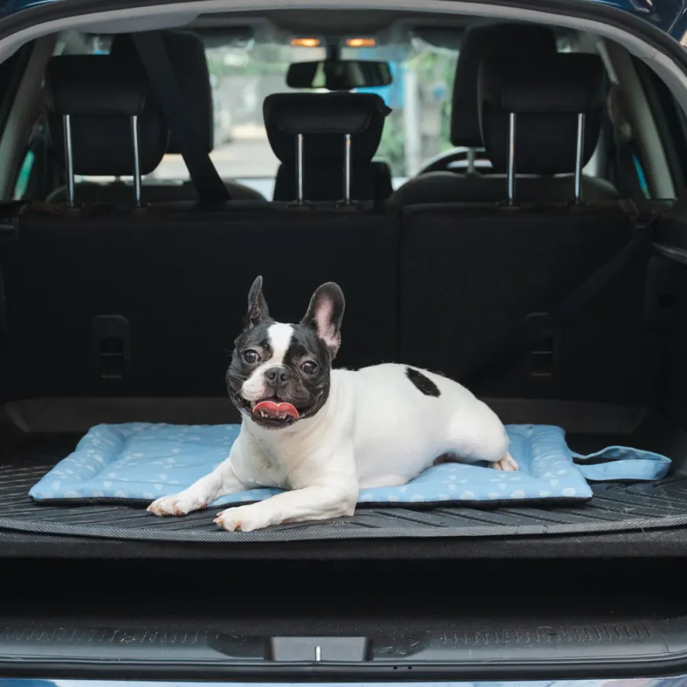 Pet Set Go Sky Bloom Mat for Dogs (Sky Blue)