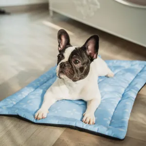 Pet Set Go Sky Bloom Mat for Dogs (Sky Blue)